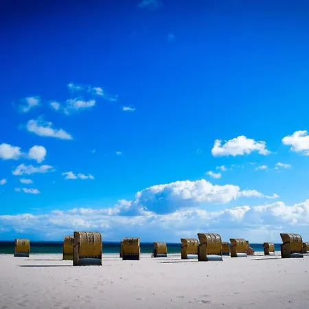 Meeresmuschel * אולפניץ