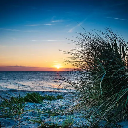 Meeresmuschel בית נופש